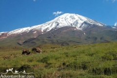 Mount-Damavand-Iran-1042-01