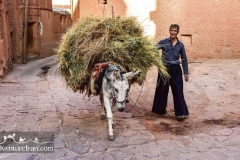 abyaneh-kashan-cycling-iran-tour-1003-30