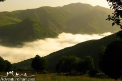 abr-forest-semnan-iran-1004-02
