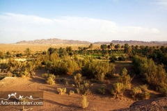 aroosan-oasis-dasht-e-kavir-esfahan-iran-1020-06