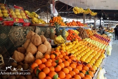Bushehr-Iran-1031-33