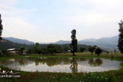 Damash-Gilan-Iran-1038-02