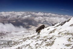 Damavand-dobarar-Mountains-ski-touring-Iran-1039-22