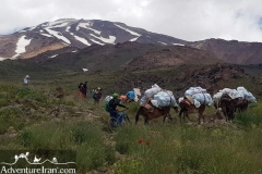 Damavand-mountain-biking-Iran-1040-23