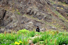 Darbandsar-Trek-Alborz-Ski-Region-27
