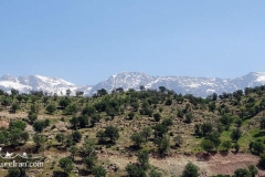 Dena-mountain-chain-zagros-range-Iran-1049-13