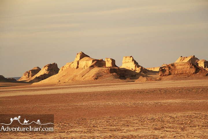 Gandom-berian-lut-desert-Iran-1062-09