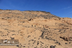 Gandom-berian-lut-desert-Iran-1062-02