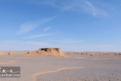 Gandom-berian-lut-desert-Iran-1062-11