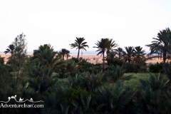 Garmeh-khur-biabanak-dasht-e-kavir-desert-Iran-1063-05