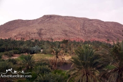 Garmeh-khur-biabanak-dasht-e-kavir-desert-Iran-1063-11