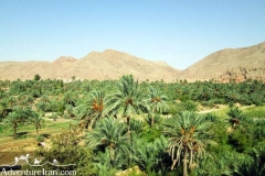 Garmeh-khur-biabanak-dasht-e-kavir-desert-Iran-1063-13