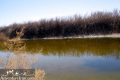 Gavkhoni-wetland-dasht-e-kavir-desert-Iran-1064-02