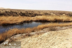 Gavkhoni-wetland-dasht-e-kavir-desert-Iran-1064-03