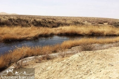 Gavkhoni-wetland-dasht-e-kavir-desert-Iran-1064-03
