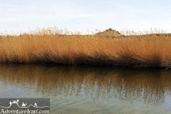 Gavkhoni-wetland-dasht-e-kavir-desert-Iran-1064-04