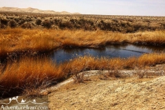 Gavkhoni-wetland-dasht-e-kavir-desert-Iran-1064-07