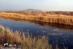 Gavkhoni-wetland-dasht-e-kavir-desert-Iran-1064-08