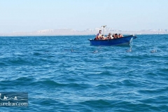 Hengam-island-persian-gulf-Iran-1072-03