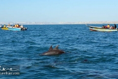 Hengam-island-persian-gulf-Iran-1072-07