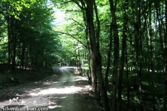 Hyrcanian-forest-caspian-sea-unesco-Iran-1074-01