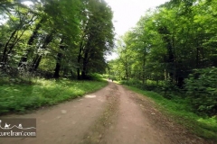 Hyrcanian-forest-caspian-sea-unesco-Iran-1074-03