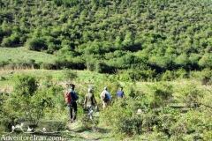 Hyrcanian-forest-caspian-sea-unesco-Iran-1074-05