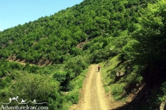 Hyrcanian-forest-caspian-sea-unesco-Iran-1074-09