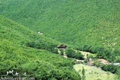 Hyrcanian-forest-caspian-sea-unesco-Iran-1074-12