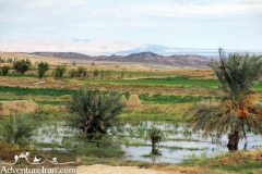 Iraaj-village-dasht-e-kavir-desert-Iran-1076-06