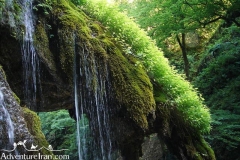 Jahan-nama-national-park-Iran-1077-09