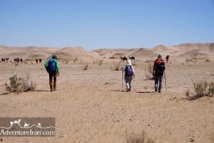Jandagh-mesr-aroosan-dasht-e-kavir-desert-trekking-Iran-1081-41