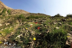 Kalugan-village-Tehran-spring-Iran-1085-25
