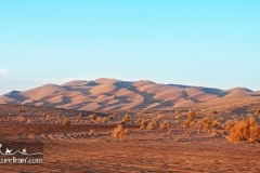 Kavir-national-park-dasht-e-kavir-desert-Iran-1093-02