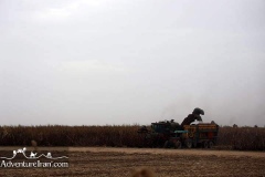 khuzestan-Iran-1100-09