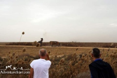 khuzestan-Iran-1100-10