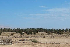 Iran-Landscape-1218-36