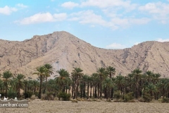 Iran-Landscape-1218-44
