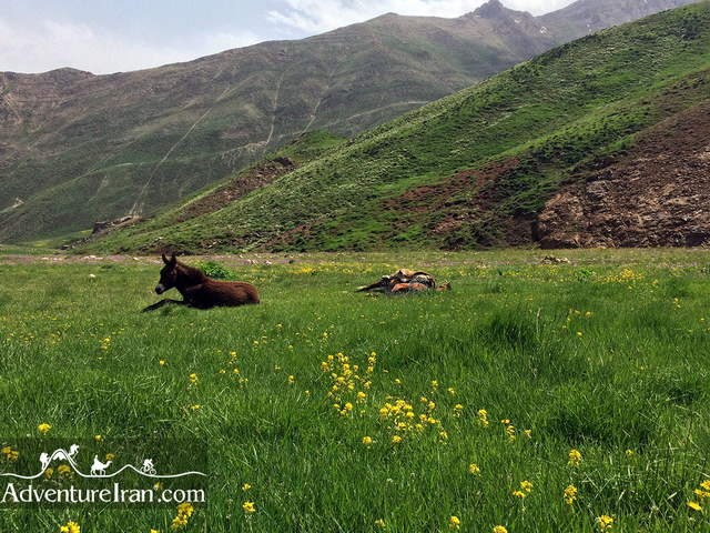 Lar-national-park-hiking-Iran-1109-14