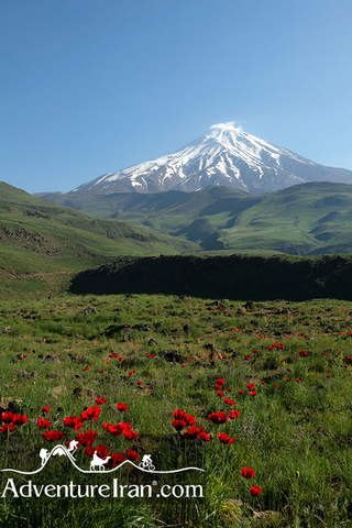 Lar-national-park-hiking-Iran-1109-21