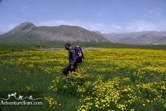 Lar-national-park-hiking-Iran-1109-13