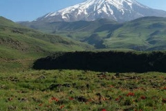 Lar-national-park-hiking-Iran-1109-21