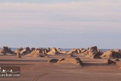 lut-desert-mountain-biking-Iran-1115-40