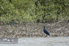 Makran-sea-coast-chabahar-sistan-baluchestan-Iran-1117-27