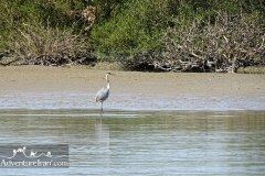 Makran-sea-coast-chabahar-sistan-baluchestan-Iran-1117-30