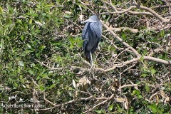 Makran-sea-coast-chabahar-sistan-baluchestan-Iran-1117-32