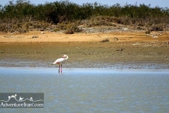 Makran-sea-coast-chabahar-sistan-baluchestan-Iran-1117-34