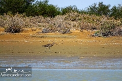 Makran-sea-coast-chabahar-sistan-baluchestan-Iran-1117-37
