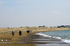 Makran-sea-coast-chabahar-sistan-baluchestan-Iran-1117-40