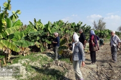 Makran-sea-coast-chabahar-sistan-baluchestan-Iran-1117-41